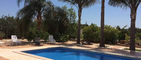 La piscine à l'ombre des palmiers