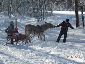 Wintersport/Ski