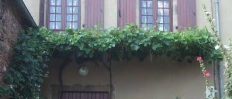 Detalle exterior