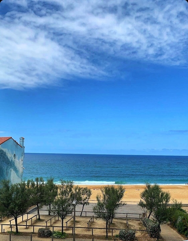 Beach/ocean view