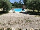 La piscine encadrée par les oliviers