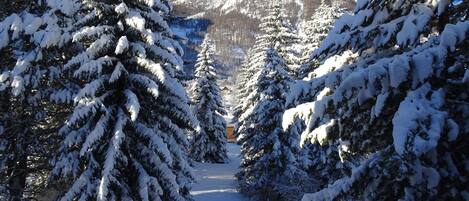 Du balcon un jour d'hiver