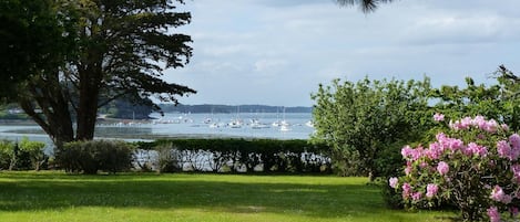 vue de la terrasse au Printemps