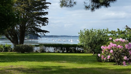 vue de la terrasse au Printemps
