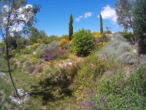 Jardines del alojamiento