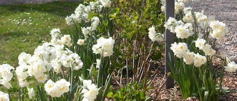 Jardines del alojamiento