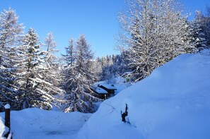 Skidåkning och snöaktiviteter