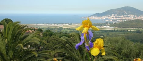 vue de votre studio