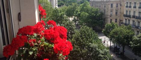 Vue du Living