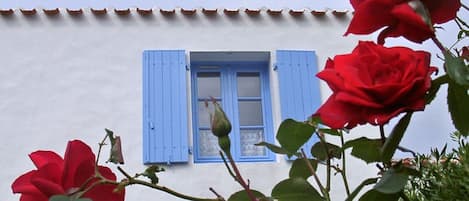 ILE D'YEU - à 2 pas de la mer, petit jardin