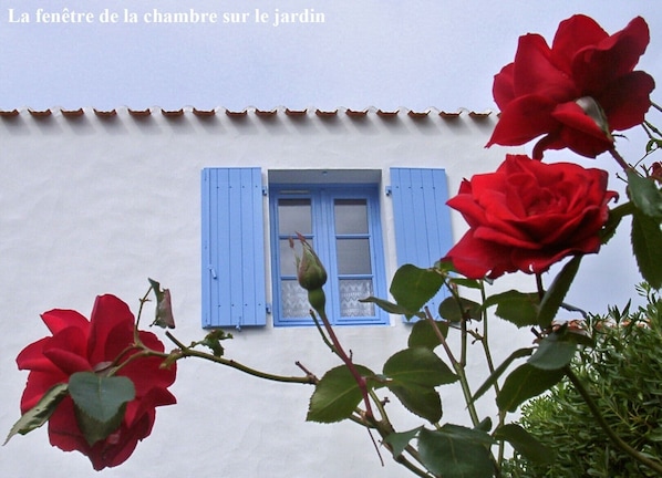 ILE D'YEU - à 2 pas de la mer, petit jardin