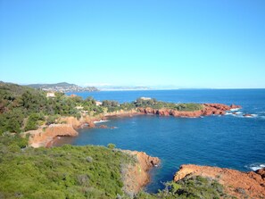One of the many wild coves to visit