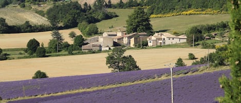 Le hameau des Michouilles 