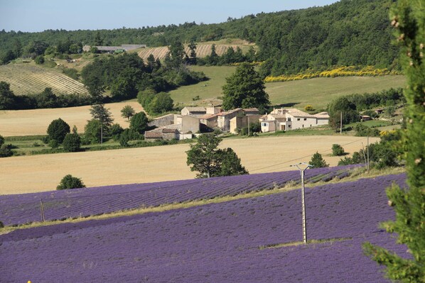 Le hameau des Michouilles 