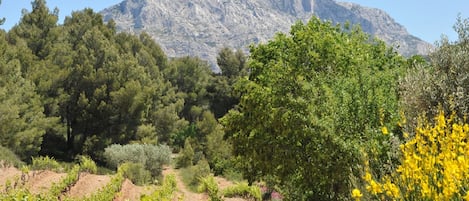 Sainte Victoire 