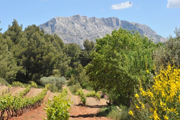 Sainte Victoire 