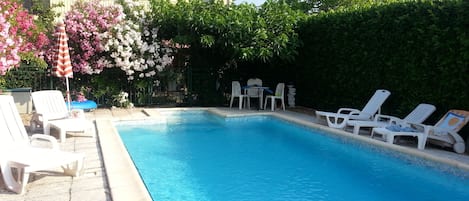 Piscine et Lauriers fleuris en été