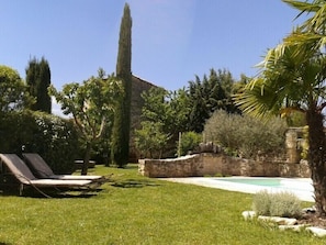 The garden 
