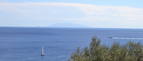 Aussicht aus dem Wohnzimmer Balkon mit der Insel Elbe in der Ferne