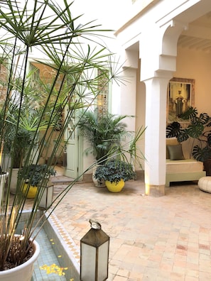 Terrass/Patio
