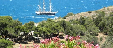 Le Belem entrant dans Port-Vendres depuis la terrasse Est.