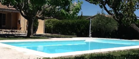 piscine avec arbre Catalpa procurant un coin d'ombre très apprécié en plein été