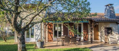 La terrasse et le cerisier