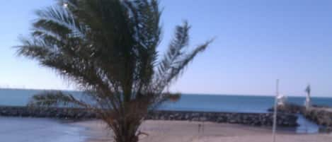 Vue sur la plage depuis la terrasse
