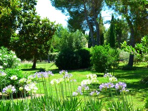 The park (5000m2)