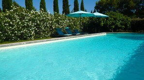 The swimming pool, sun loungers and parasols.