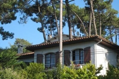 Picture of villa