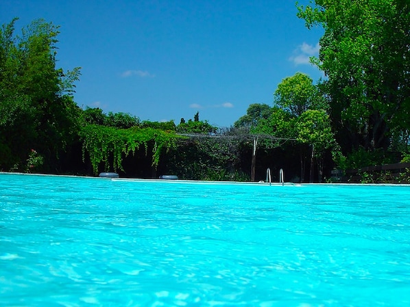 piscine 20m /8m
