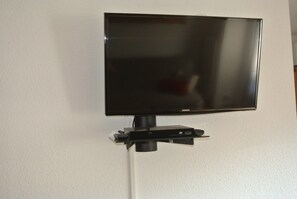 Television