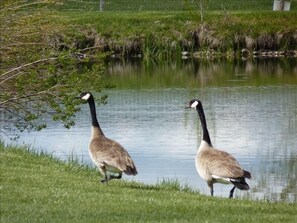 Gertrude and Heathcliff