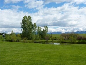 North meadow and pond