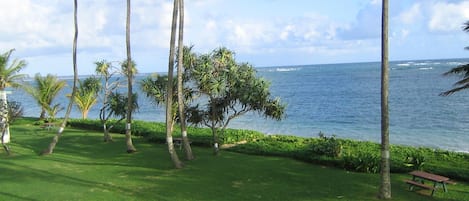 Lanai view 1