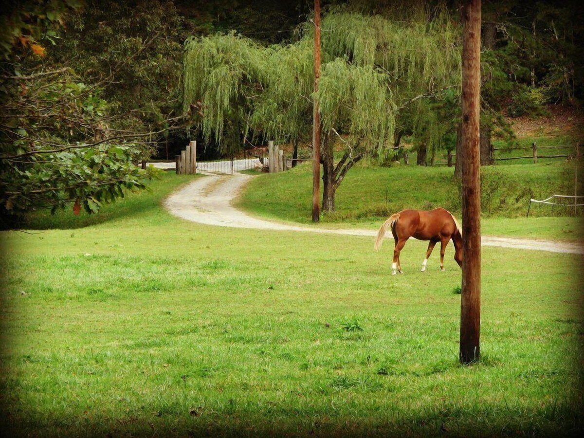 Private & Convenient! 250 acre homestead, horses, ponds, private hiking, creeks