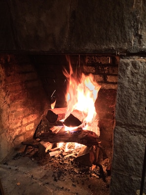 Fireplace in the living room