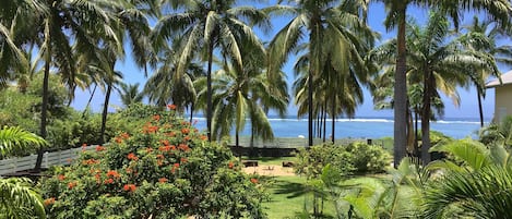 Jardines del alojamiento