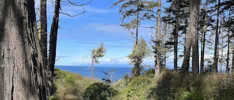 Look across to Victoria, B.C.