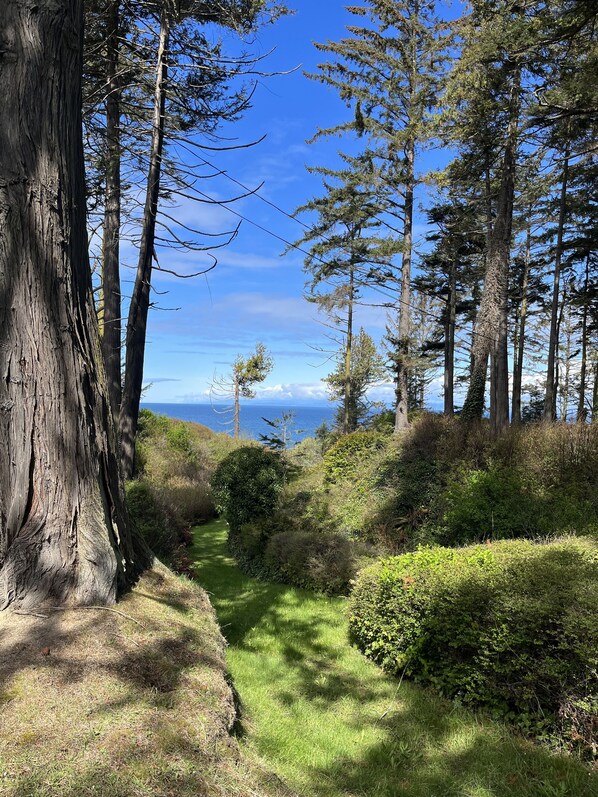 Look across to Victoria, B.C.