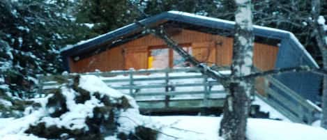 Sous la neige