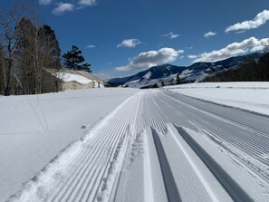 Skidåkning och snöaktiviteter