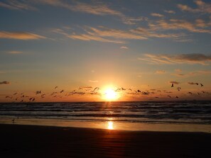 Sunrise on the beach! Breath taking beauty.  Steps from your door.