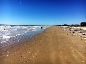 Over 17 miles of walking beach. Great shell hunting, and driftwood for fire pit!