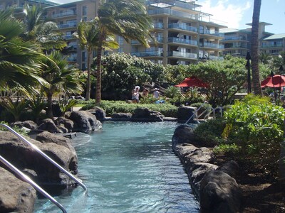 Stunning Ocean View Top Floor Shaded Lanai 2BR/ 2BA Condo