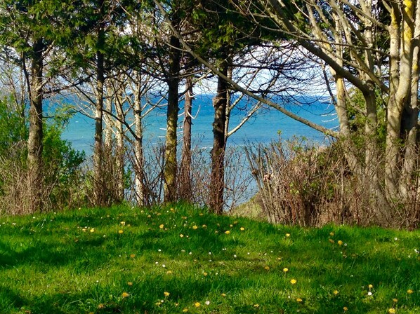 Beautiful lookouts and nature trails to explore on site