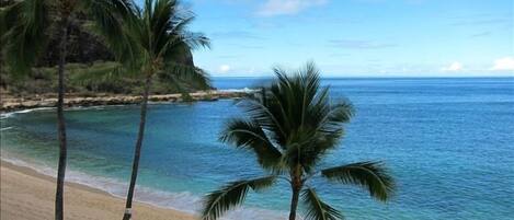 Enjoy a great vacation in Hawaii!