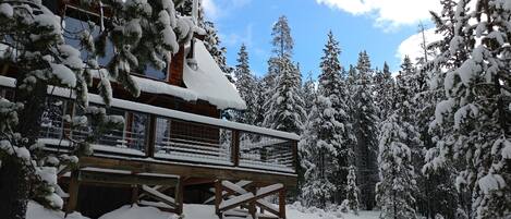 Cabin in Snow