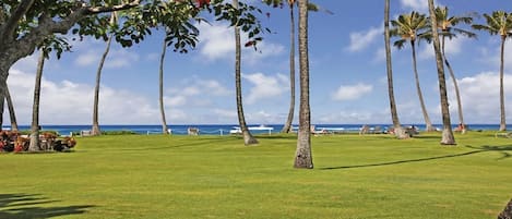 View Across lawn to the ocean